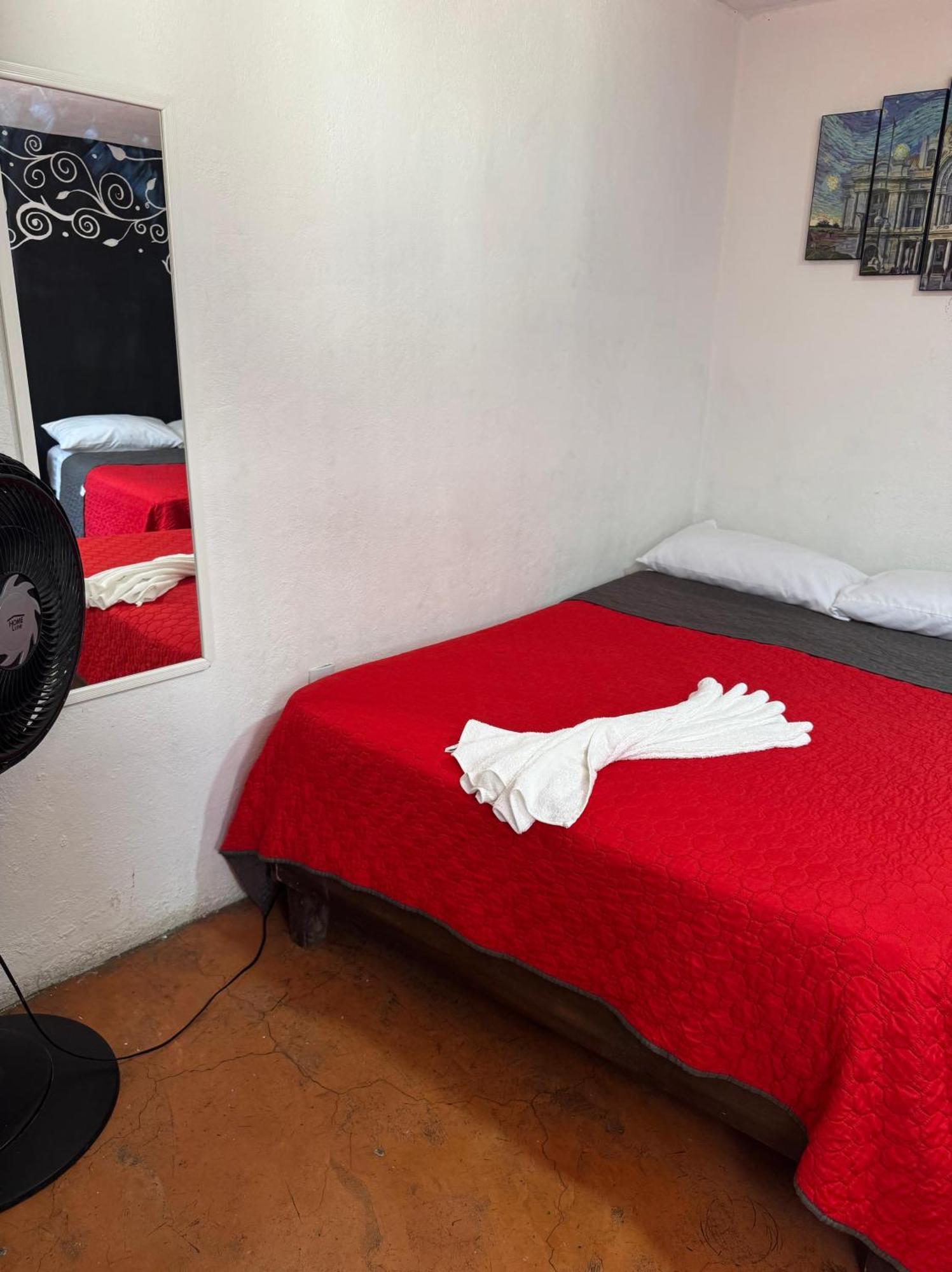 Casita Del Arbol Daire Meksika Dış mekan fotoğraf
