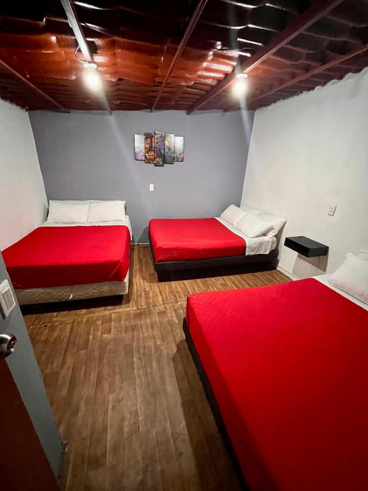 Casita Del Arbol Daire Meksika Dış mekan fotoğraf