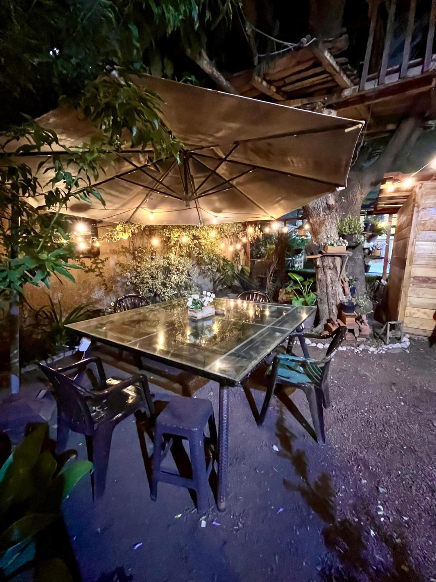 Casita Del Arbol Daire Meksika Dış mekan fotoğraf