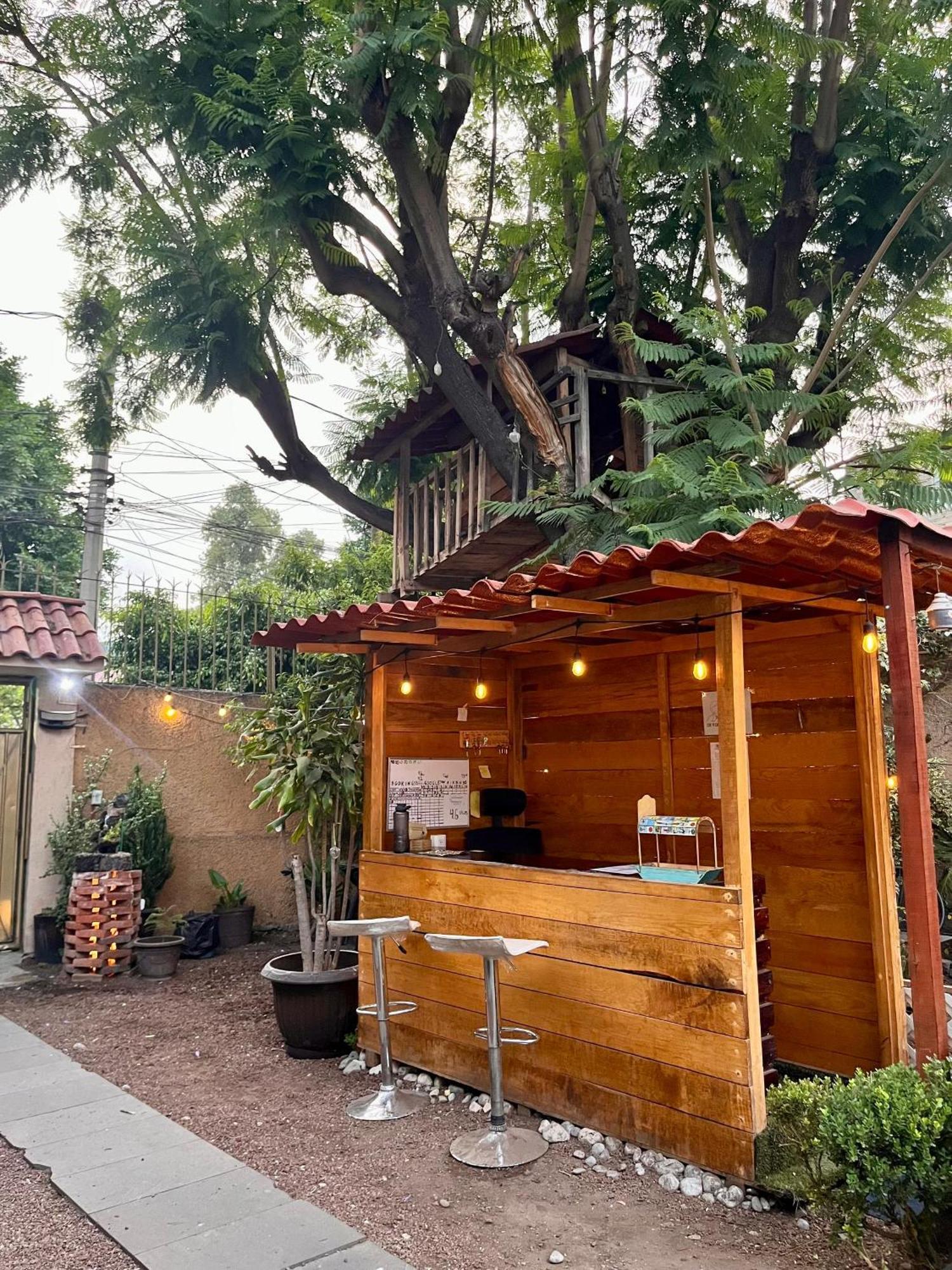 Casita Del Arbol Daire Meksika Dış mekan fotoğraf