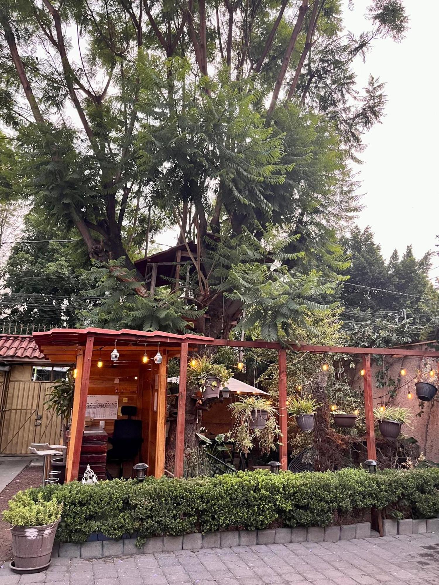 Casita Del Arbol Daire Meksika Dış mekan fotoğraf
