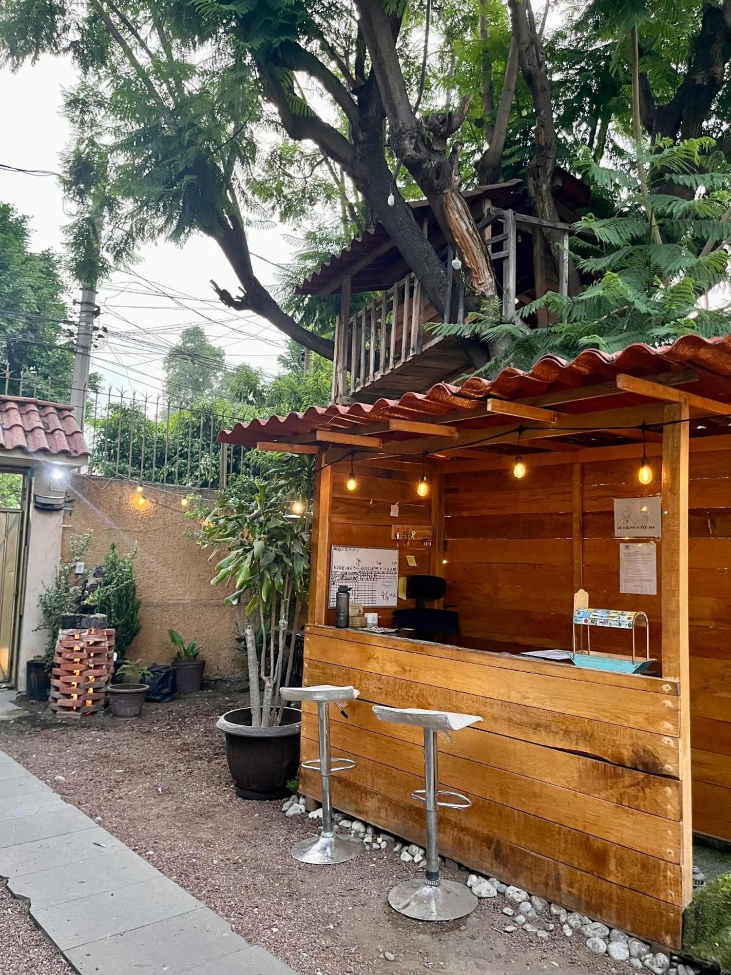 Casita Del Arbol Daire Meksika Dış mekan fotoğraf